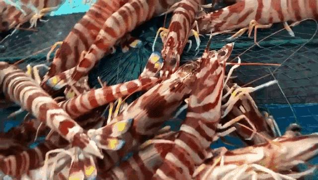 海蓝媲美三亚,福建这个被低估的宝藏地,夏天去太舒服了