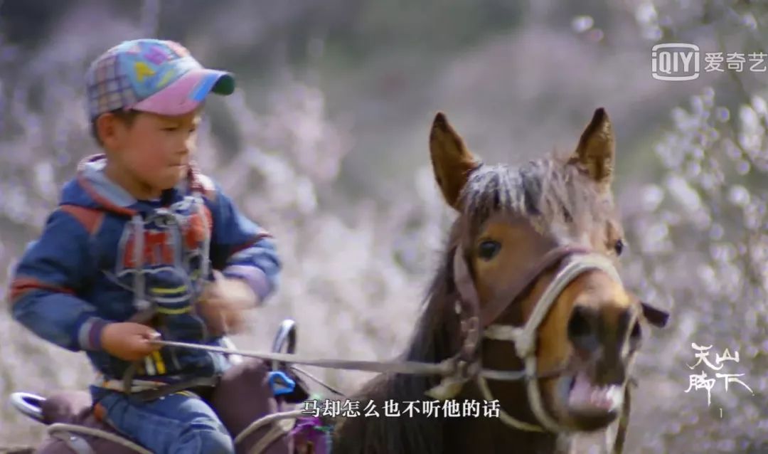 天山脚下纪录片,天山脚下纪录片完整版