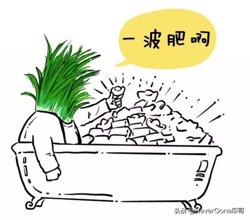 四大工装靴品牌,不同价位工装靴推荐