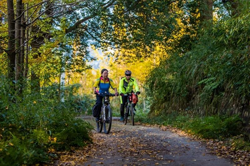 黄色警报响,黄色警报响起