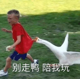 足球的搞笑时刻看完真笑死了,足球赛场那些经典搞笑瞬间