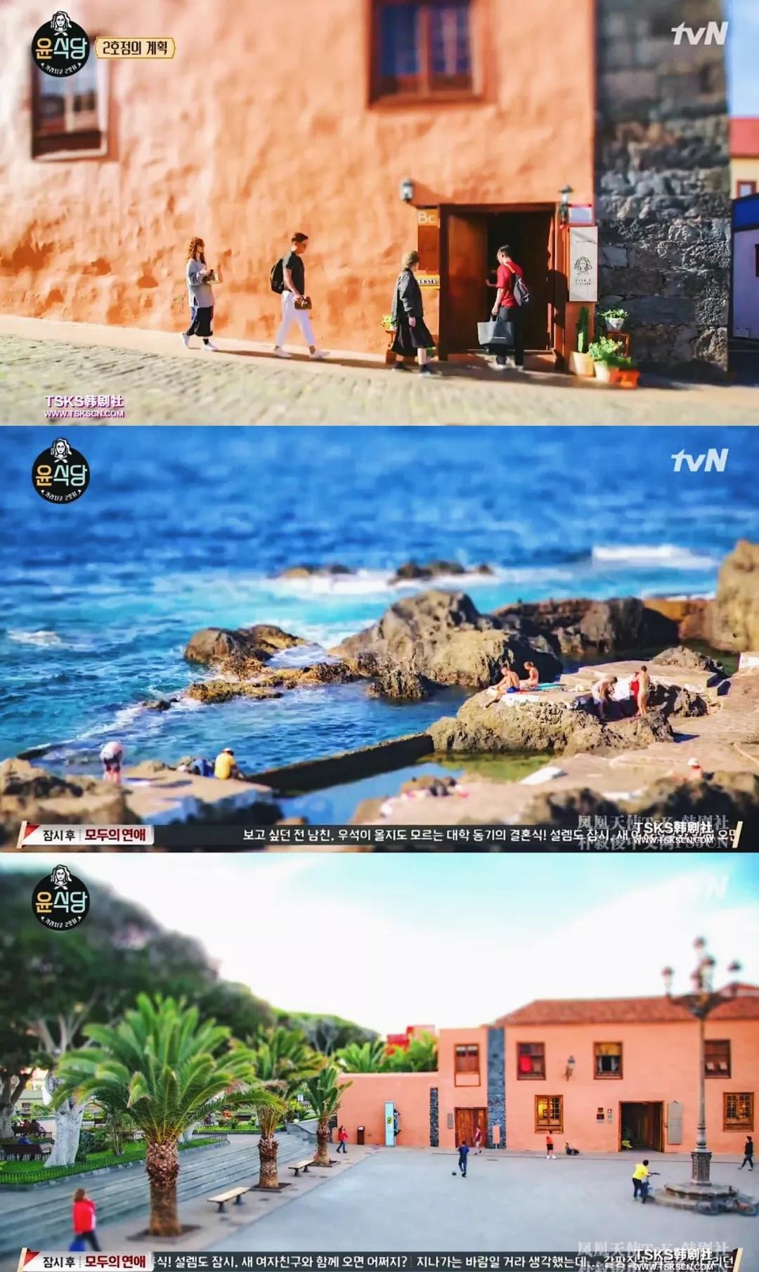 除了《乘风破浪的姐姐》,不出门的日子你也可以看看这些神仙综艺