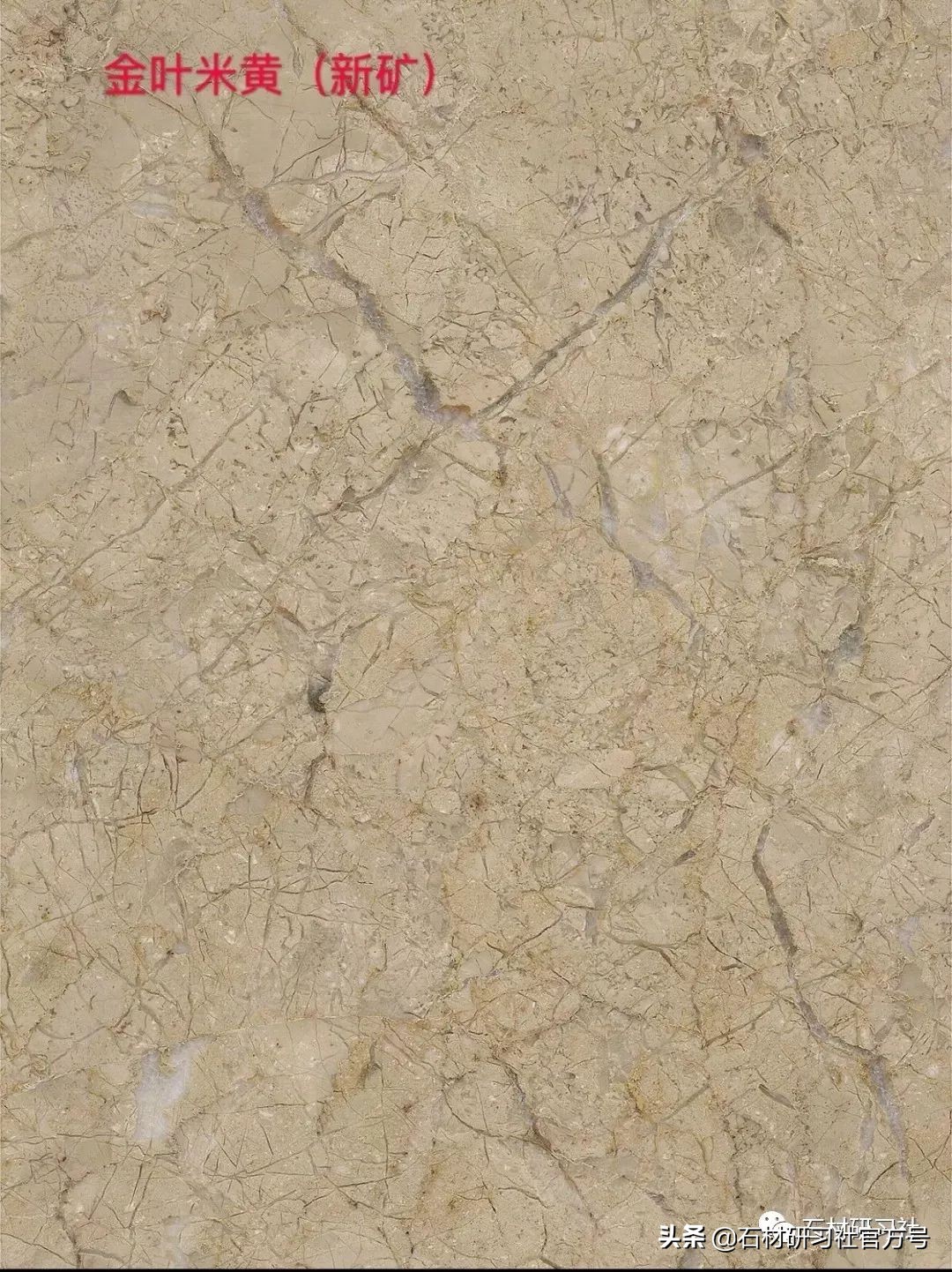 豪宅用的高级天然大理石,别墅铺什么颜色大理石档次最高