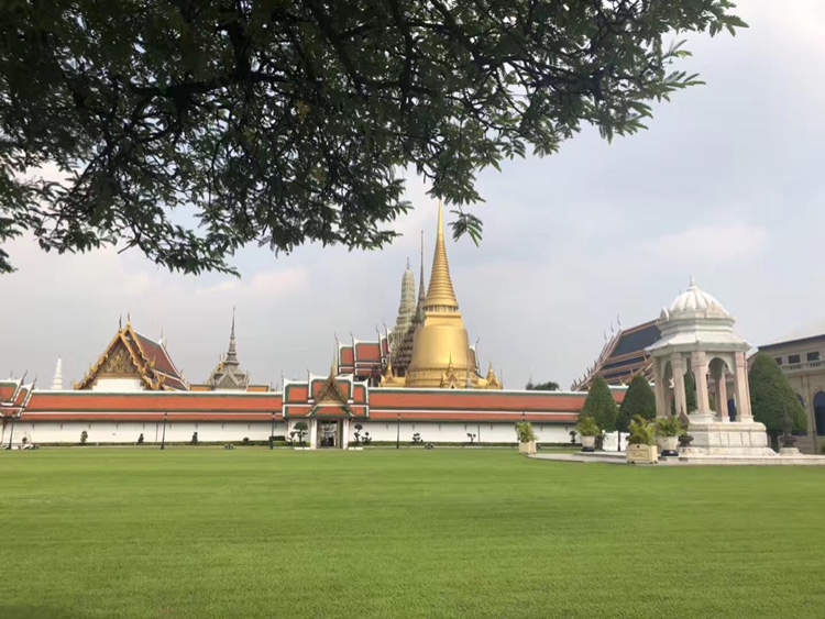 泰国旅游,怎样买上网卡性价比高,使用方便