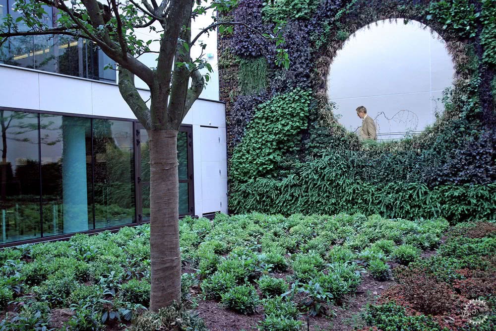 大师的成长之路破格,大师的心路历程