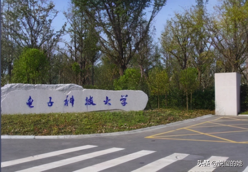 网络教育本科无学位证的补救方法,网络教育本科学位证申请条件