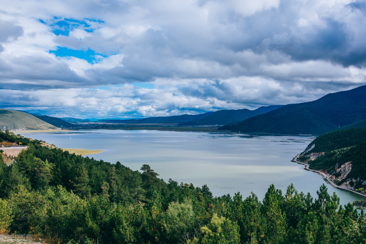 看完司藤后看哪部电视剧,看完司藤还爱看什么