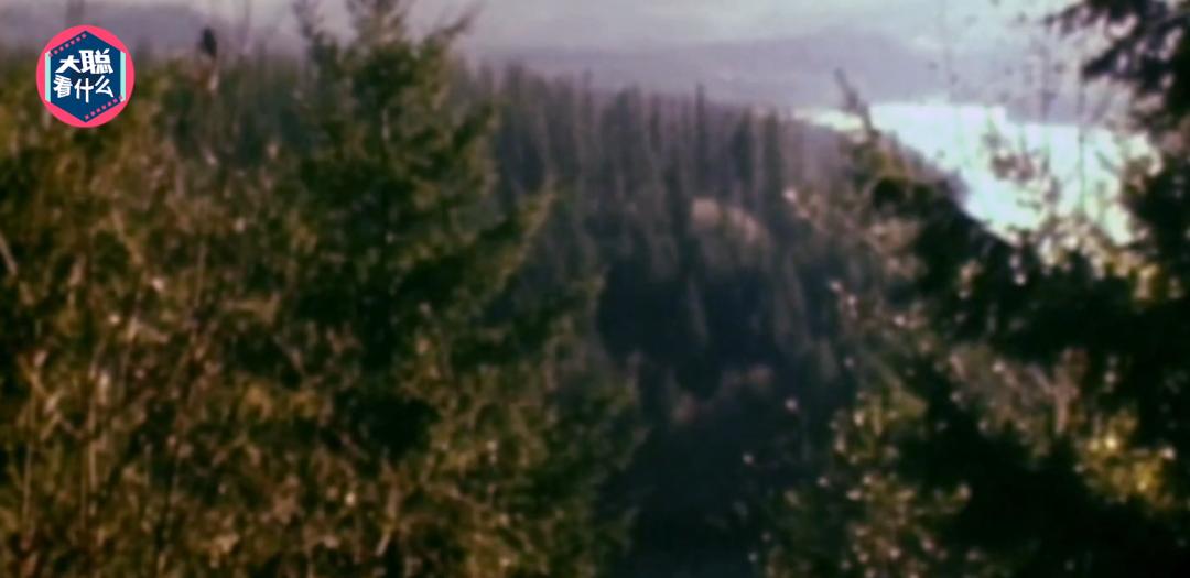 洛基库珀劫机案,库珀劫机事件洛基