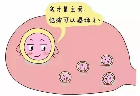 什么样的卵泡算优势卵泡,吃什么对卵泡质量好卵泡长得多呢