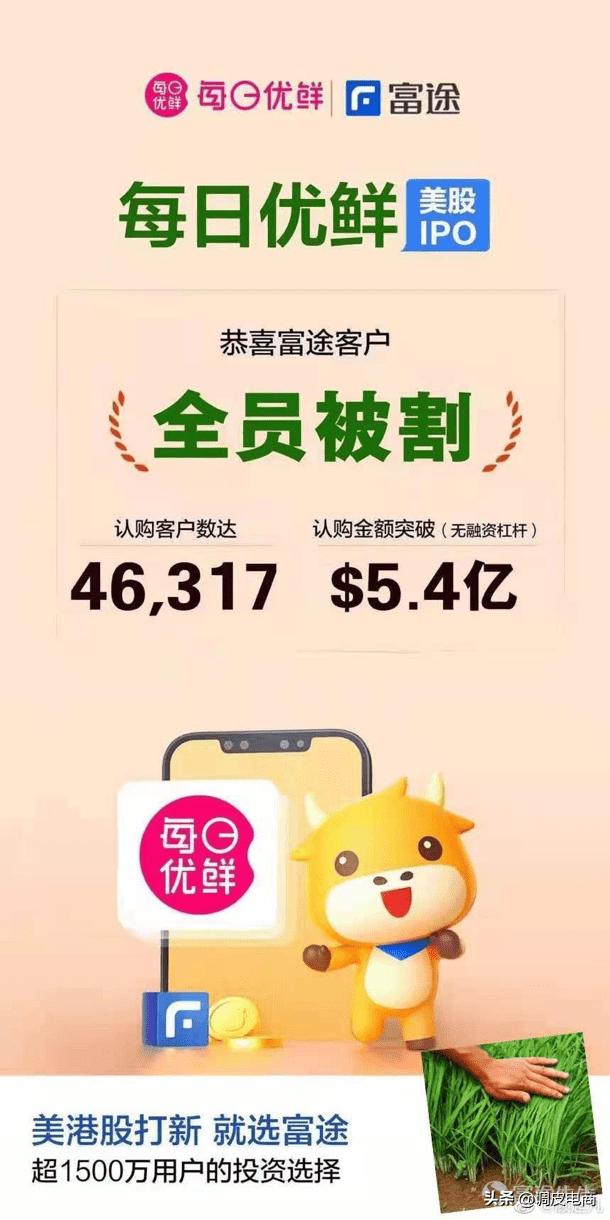 每日优鲜估值,每日优鲜股票