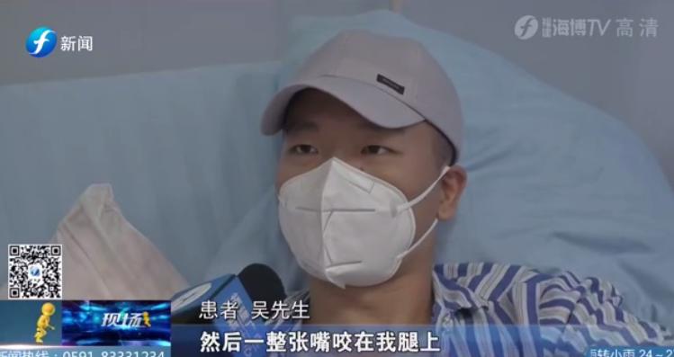 一个人在家里被大狗咬了,宠物猫咬主人一口主人被截肢