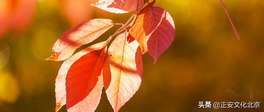 医学启源导读课程,医学启源第一课