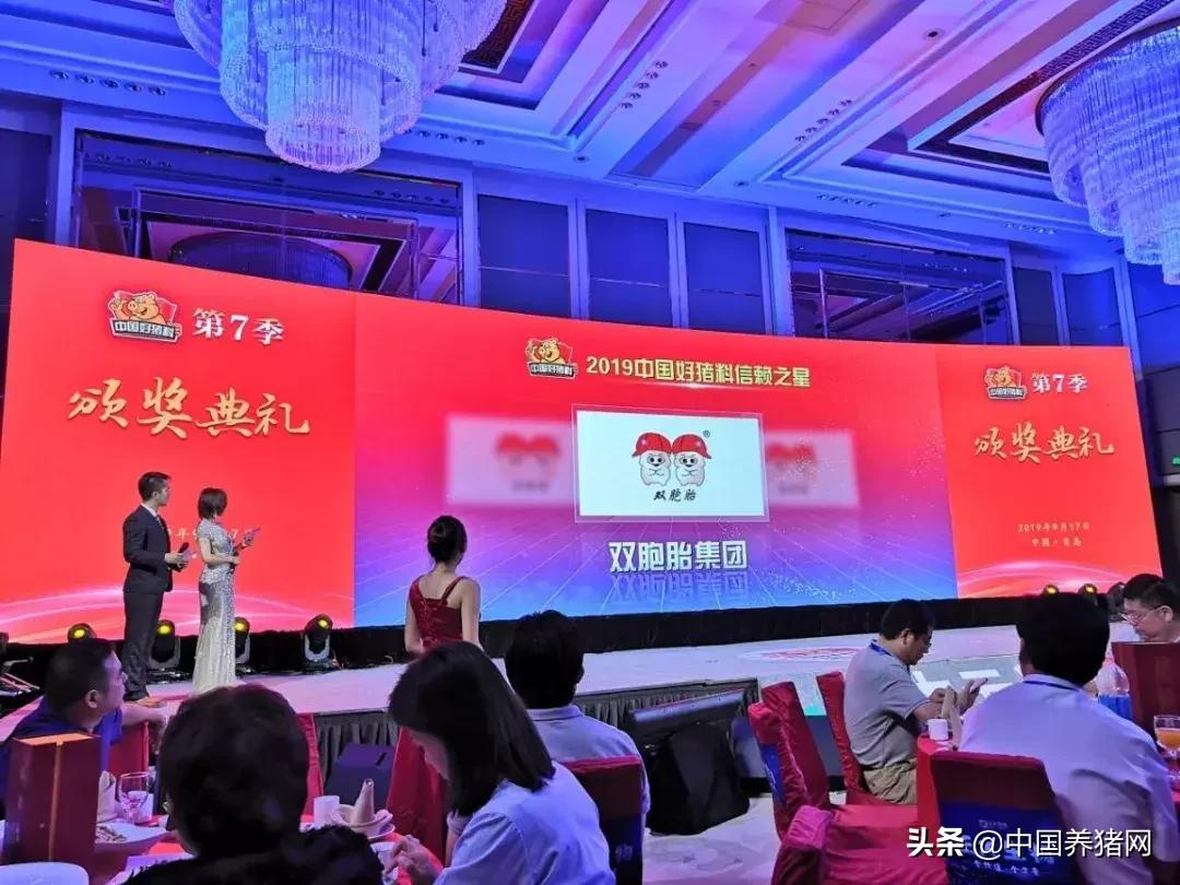 喜讯获一等奖,恭喜喜获一对双胞胎