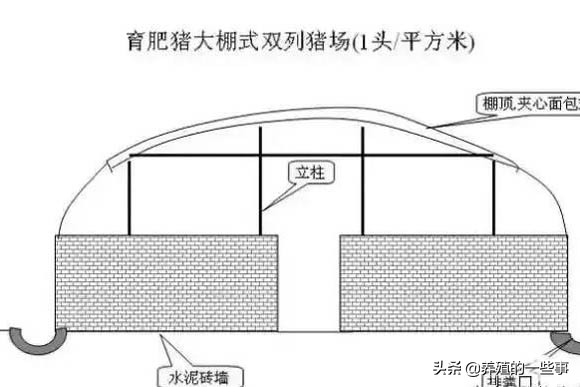 农村如何建造现代化养猪场,农村养猪怎样建简单猪场