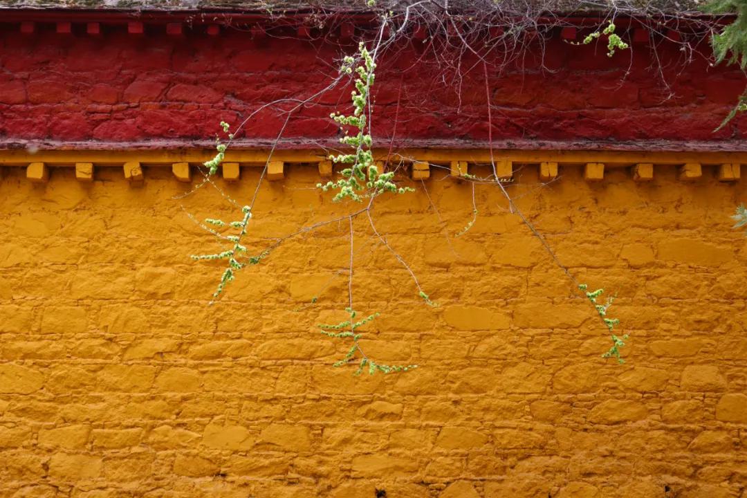 拍拉萨全景哪里最好,拉萨最适合拍照的地方