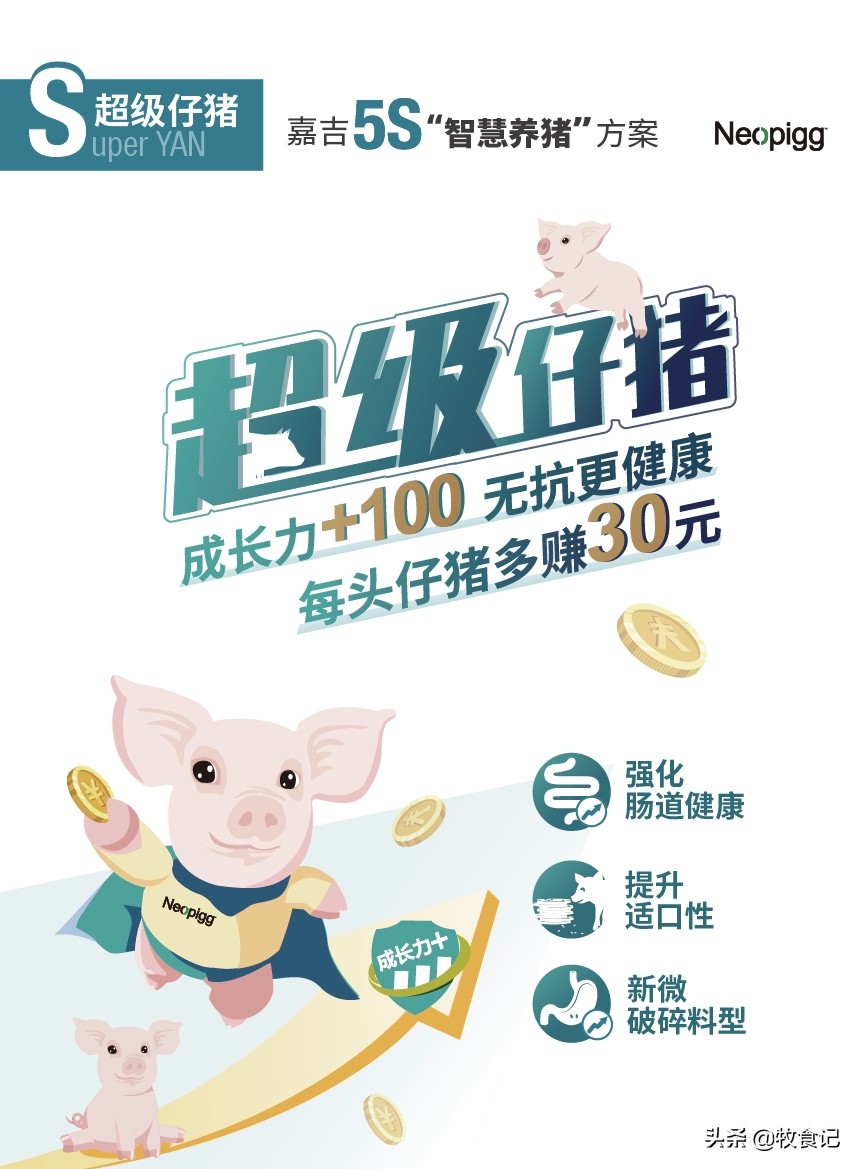 嘉吉动物营养成功案例,嘉吉动物营养最新消息