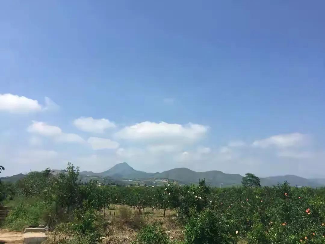 唐太宗李世民的墓是否挖出来,唐太宗李世民的墓有没有被挖