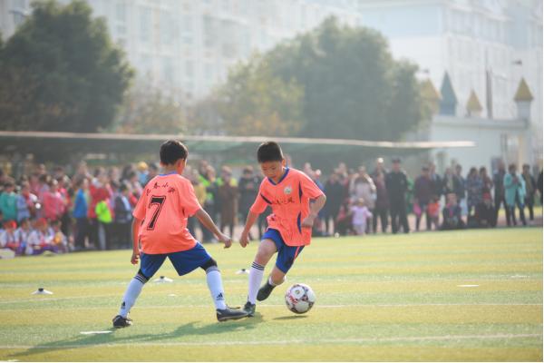 迎春小学双流东升,东升迎春小学