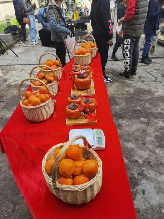 西北工业大学创意柿子大赛,西工大柿子采摘大赛第四届