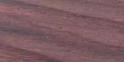 史上最全“红木”图解,看看哪种红木价值最高?