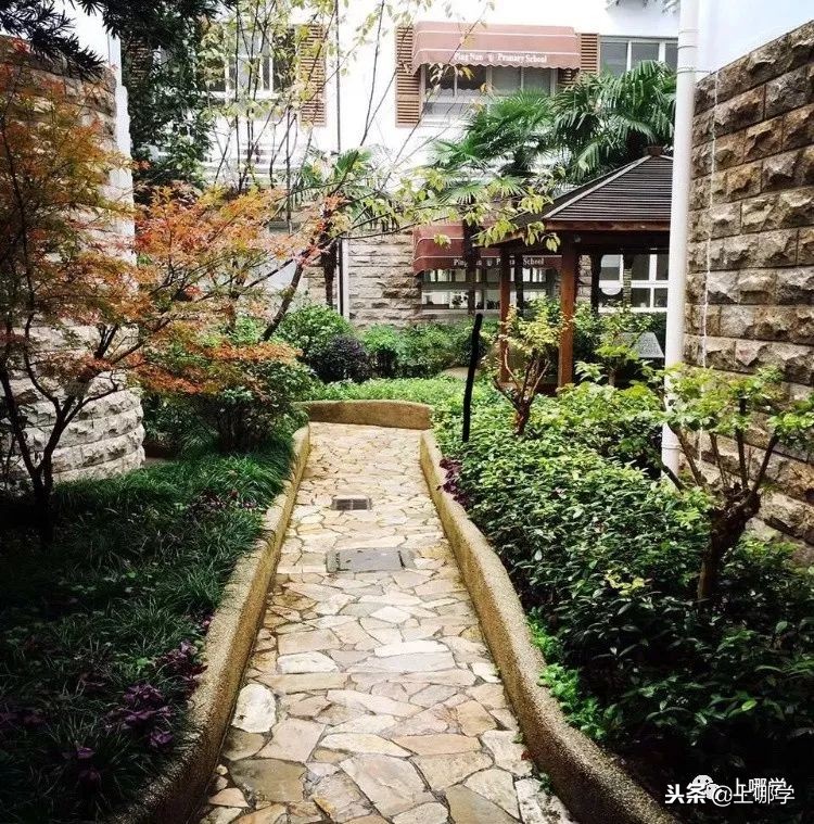 上海最美公办小学,上海环境最好的小学