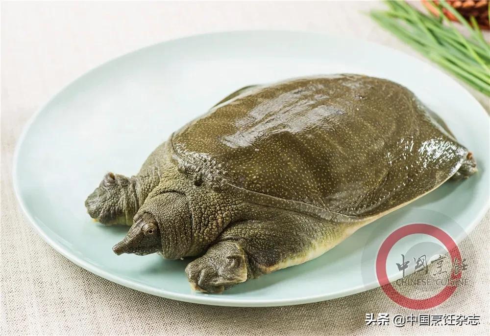 拒绝野味有哪些点,关于拒绝野味的小知识