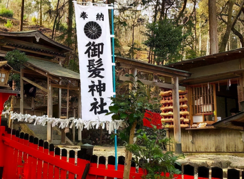 日本人秃头,日本秃头率亚洲第一