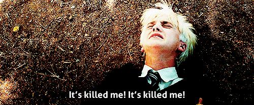 哈利波特德拉科纪念日,哈利波特德拉科的成长