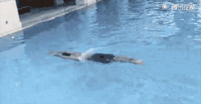 潜泳技巧潜不下去,潜泳太难几个小技巧让你轻松掌握