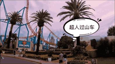 澳大利亚旅游抱考拉,麻麻游记视频大全