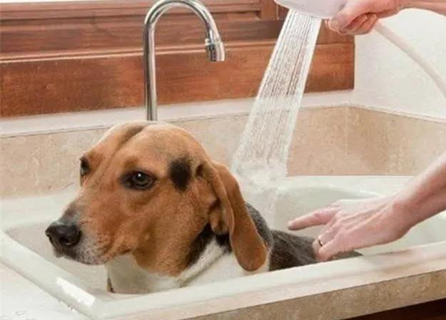 水龙头外接花洒洗头神器哪个好用,花洒专用洗头神器