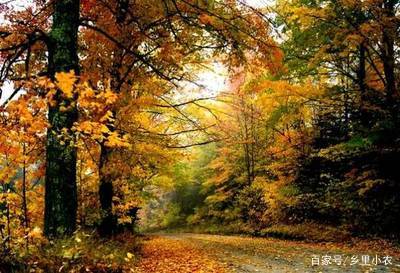 云髻山自然保护区游玩攻略,广东新丰云髻山风景区