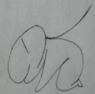 中国人容易健忘吗,中国人的健忘