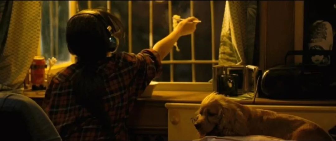 狗十三说脏话,狗十三到底有多可怕