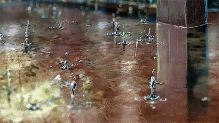 广东暴雨有多恐怖,广东最近一直暴雨原因分析