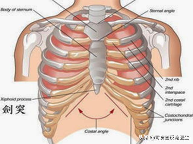 烧心胸痛胃食管灼烧感总是往上顶,烧心反酸腹部疼痛