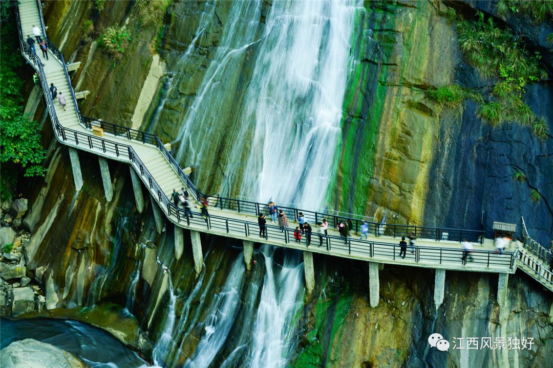 朱虹江西风景独好,朱虹绝代佳人