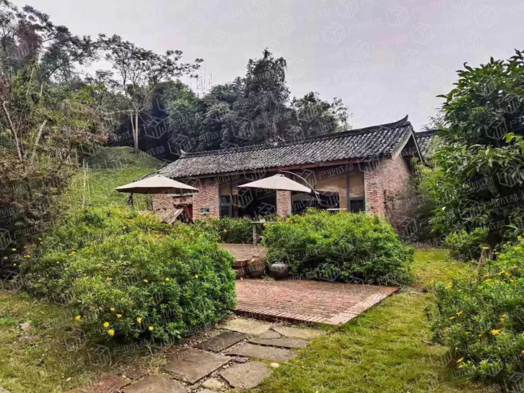 为什么洲际英迪格等大牌，美国艺术家都涌入这座偏远小镇？