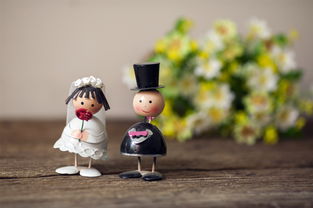 男女间需要满足哪些情感需求,男性和女性对于婚姻的需求不一样