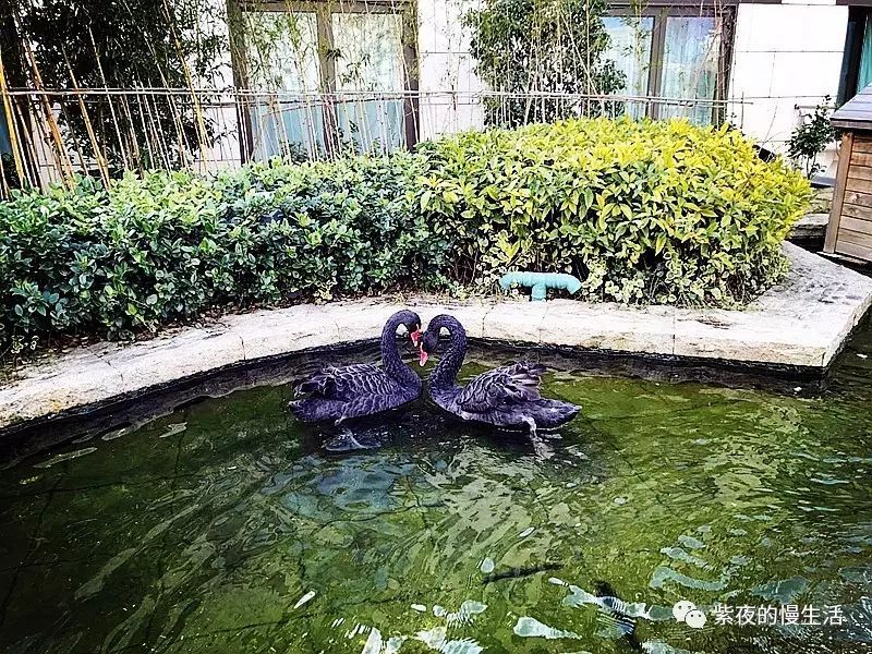 南京总统府府邸,南京圣和府邸