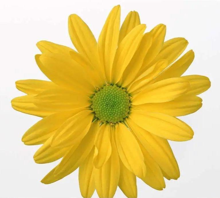 肛门瘙痒症治疗心得,求职肛门瘙痒偏方