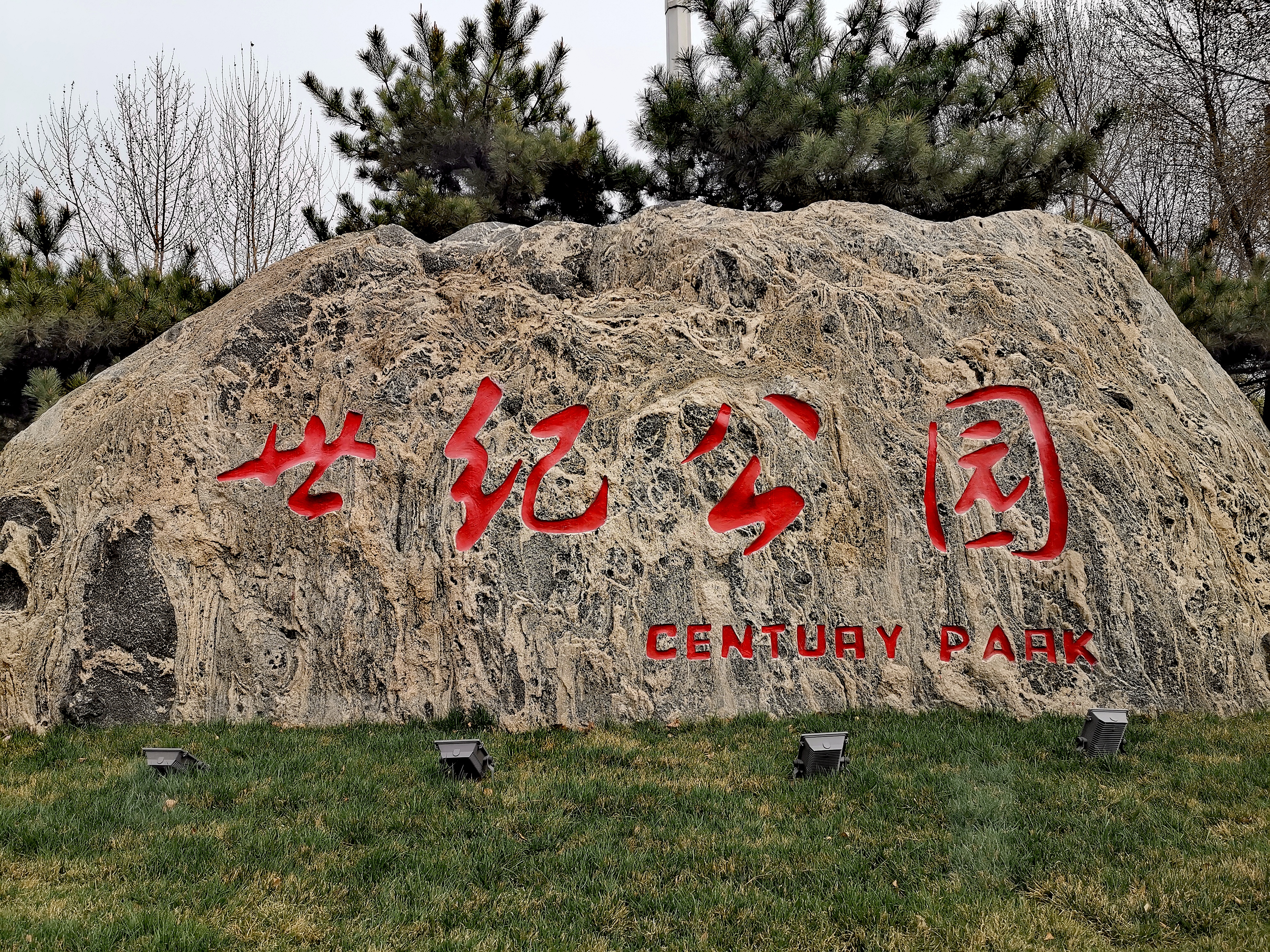 石家庄世纪公园的荷花已开过,石家庄世纪公园花