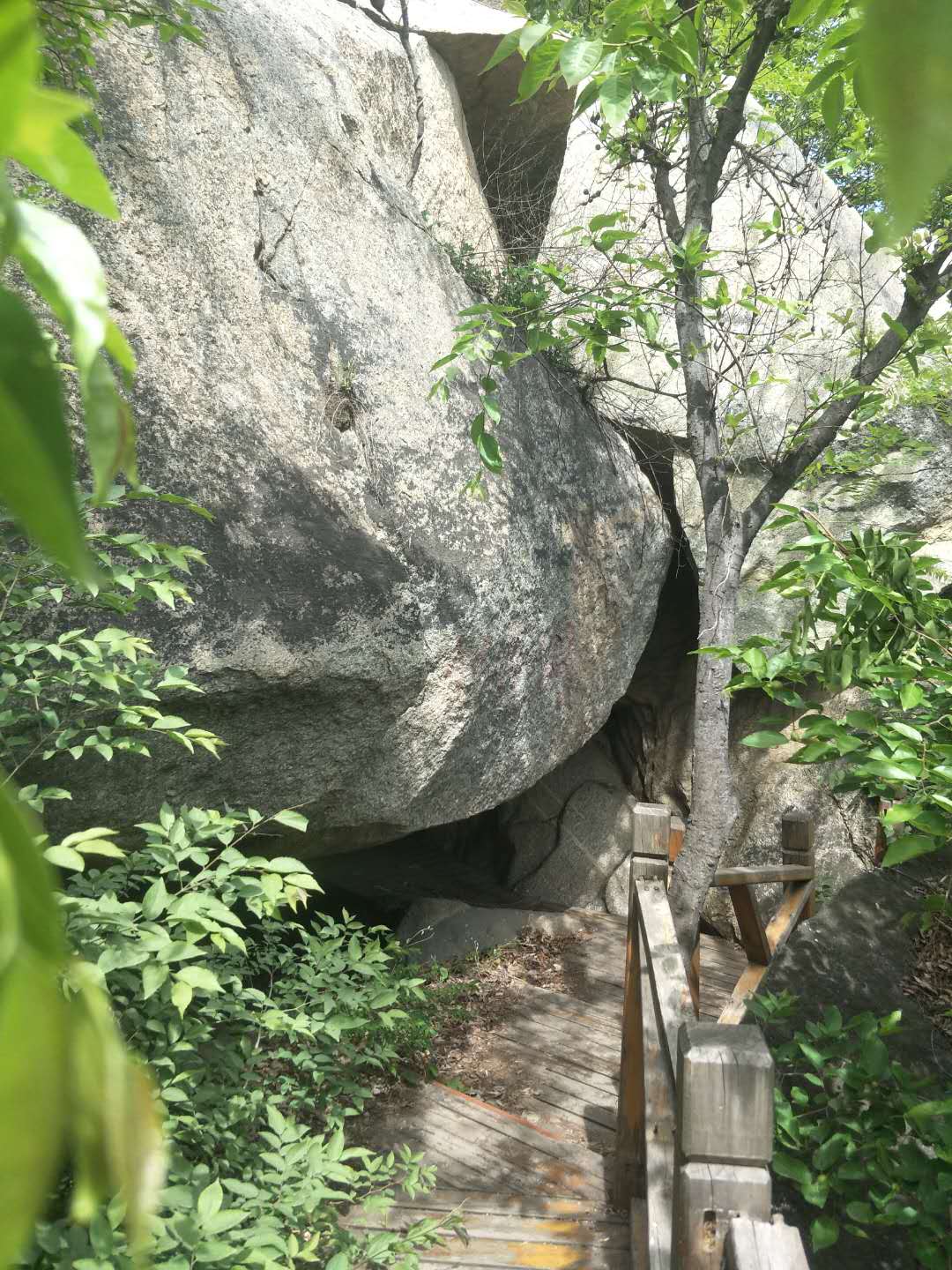 踏春五宝庵风景,踏春五宝庵山在哪里