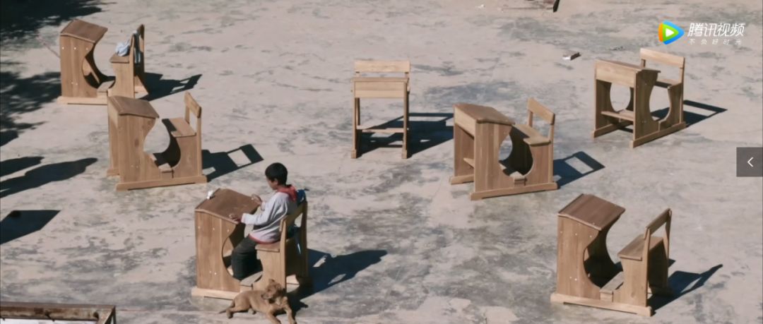 当你知道生命无法永生的时候,菩提岛屿