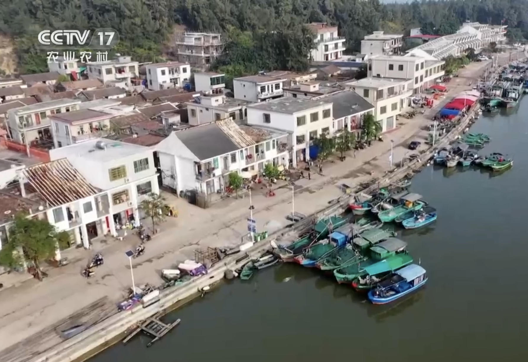 高中毕业的海南小伙，放弃60万年薪，回乡卖鱼干，年赚500万