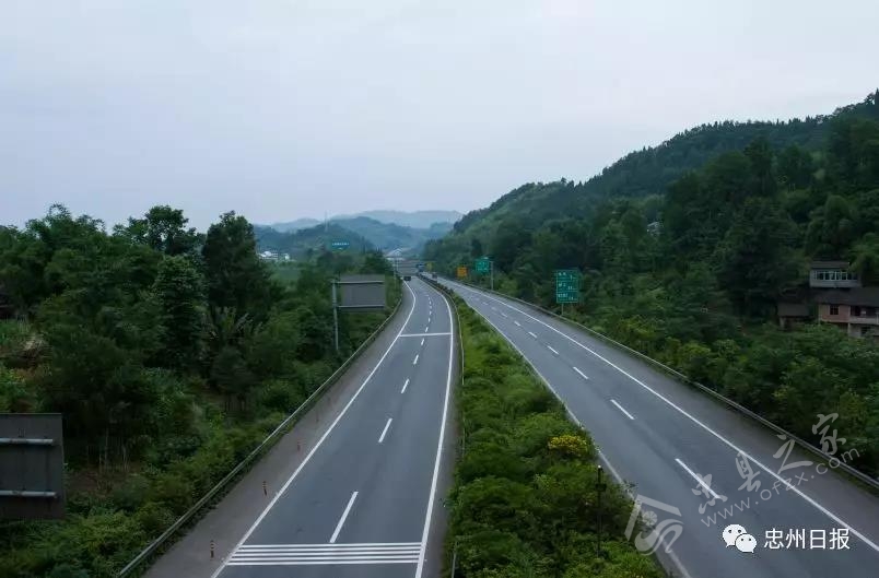 白石山林区生态环境,白石镇竹海