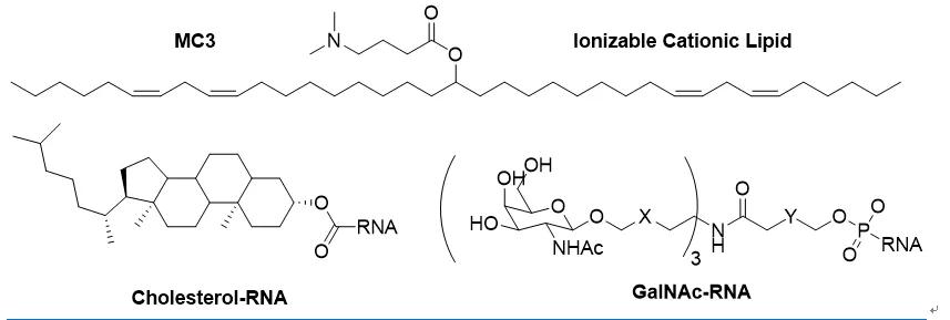 生物科技2024,rna药物发展