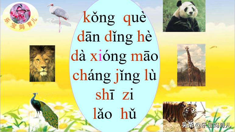 一年级拼读练习内容及测试题，学拼音掌握拼读规则，语文soeasy