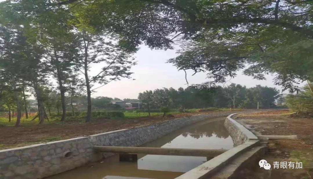 西吴沟村美丽乡村,水乡西吴沟