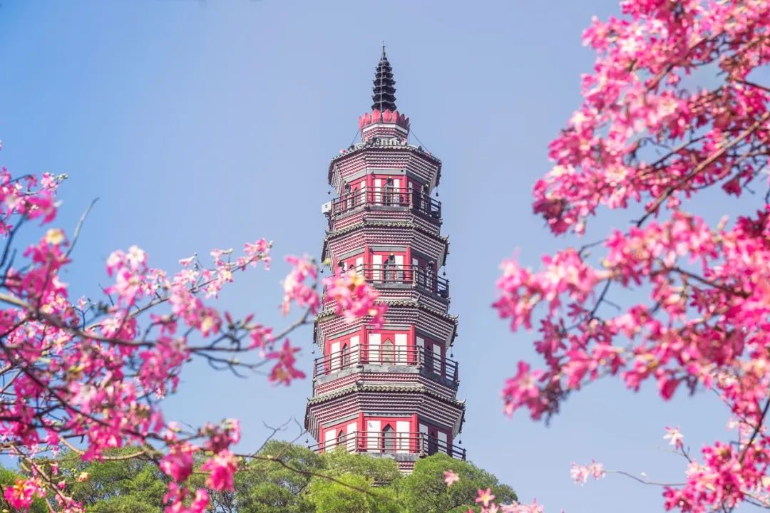 芳菲四月不负韶华,只闻花香不争朝夕唯美诗句